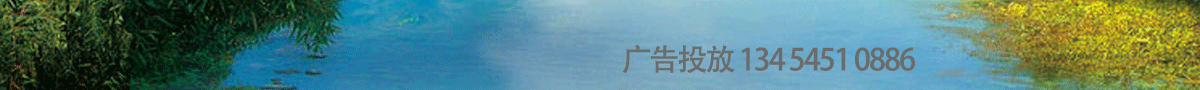 广告投放.gif